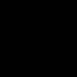 Meet your Posher, Lilly